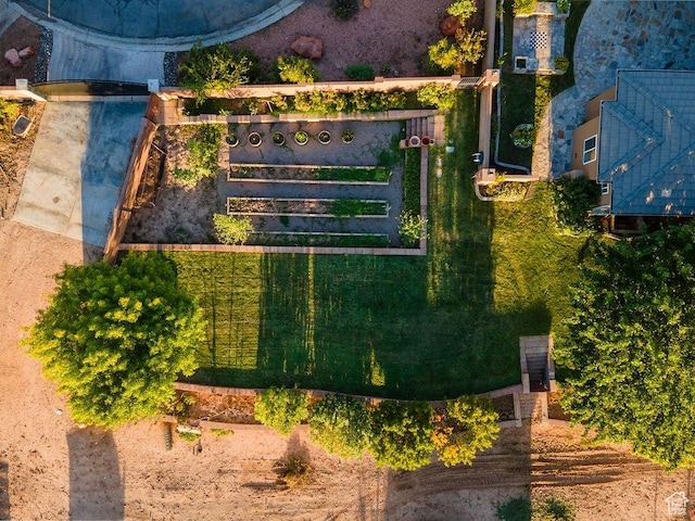 bird's eye view