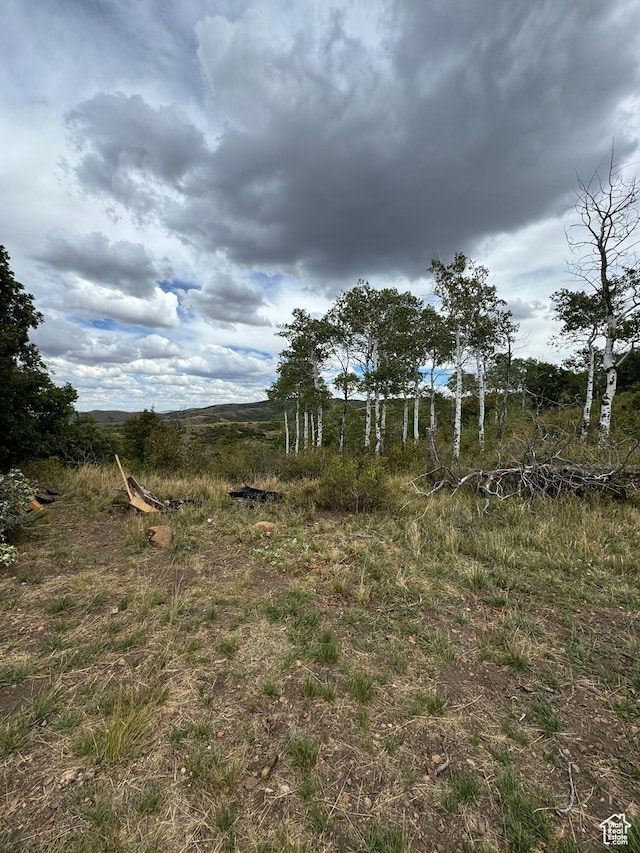 Unit 177, Coalville, UT 84017 - photo 46