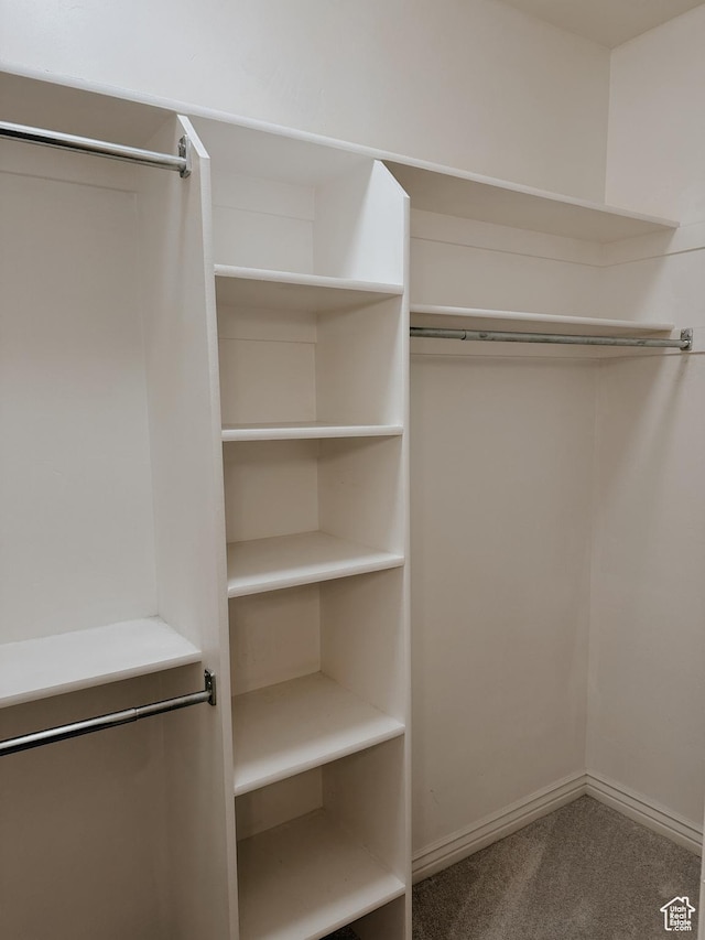 spacious closet with carpet floors