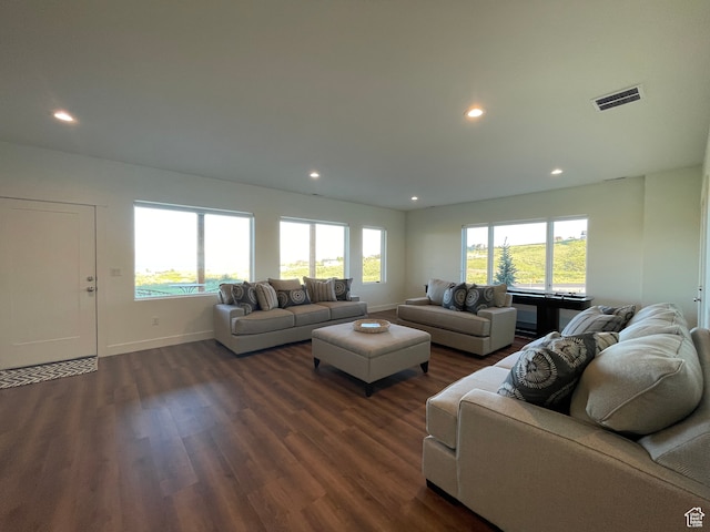 544 Lotus Dr, Fish Haven, ID 83287 - living room with dark hardwood / wood-style floors and a wealth of natural light