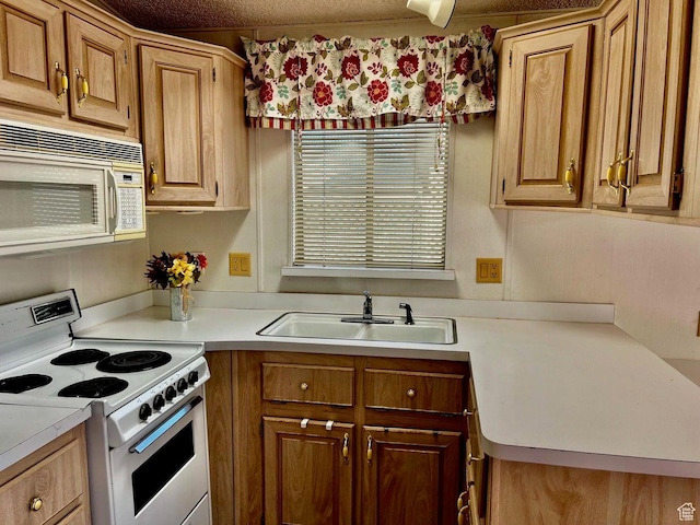 448 E Telegraph # 26, Washington, UT 84780 - kitchen featuring light countertops, a sink, brown cabinets, and white appliances