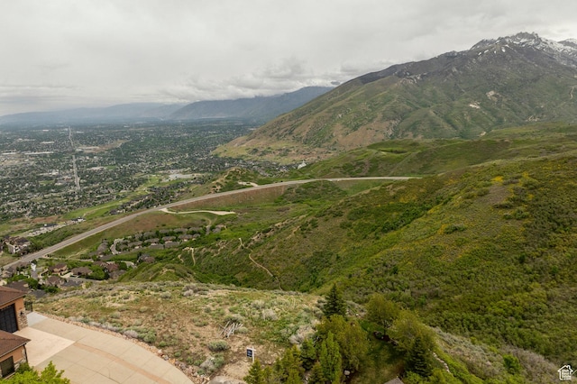 1293 E Fawn Pointe Ct S Unit 29, Draper, UT 84020
