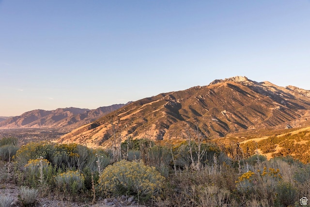 1293 E Fawn Pointe Ct S Unit 29, Draper, UT 84020