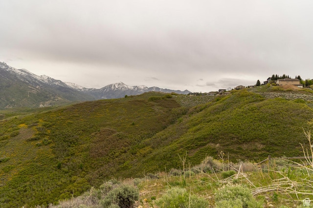 1293 E Fawn Pointe Ct S Unit 29, Draper, UT 84020