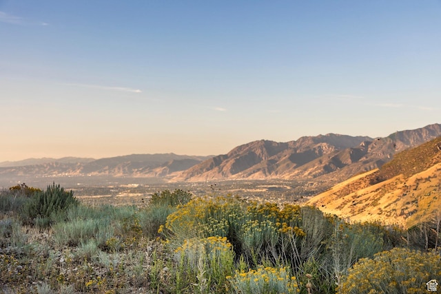 1293 E Fawn Pointe Ct S Unit 29, Draper, UT 84020
