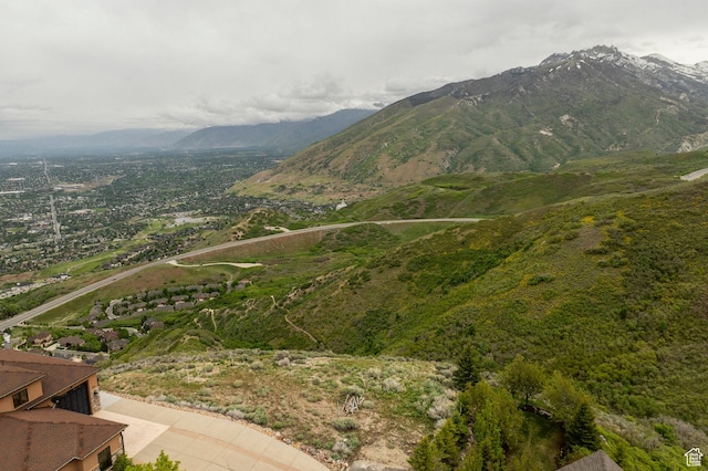 1293 E Fawn Pointe Ct S Unit 29, Draper, UT 84020