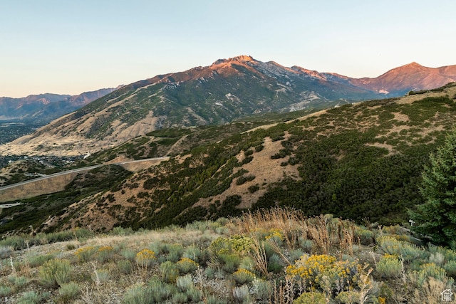 1293 E Fawn Pointe Ct S Unit 29, Draper, UT 84020