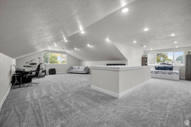 591 W 100 N, Payson, UT 84651 - office space featuring baseboards, lofted ceiling, light carpet, and a textured ceiling