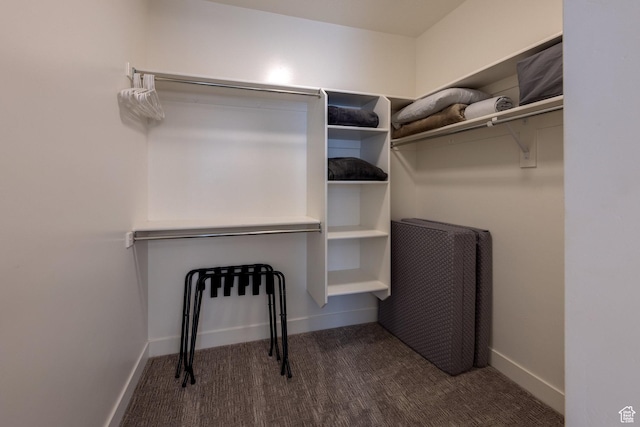 420 N 600 W, Moab, UT 84532 - walk in closet with carpet floors
