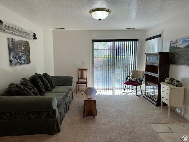 2480 W 450 S Unit 5, Springville, UT 84663 - living area with carpet flooring and a textured ceiling