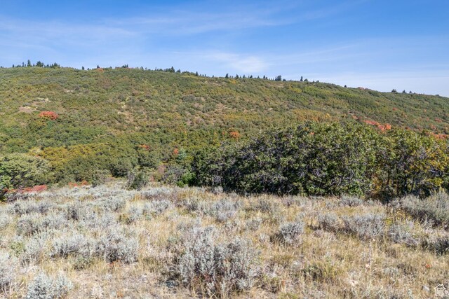 8215 Parleys Ln, Park City, UT 84098