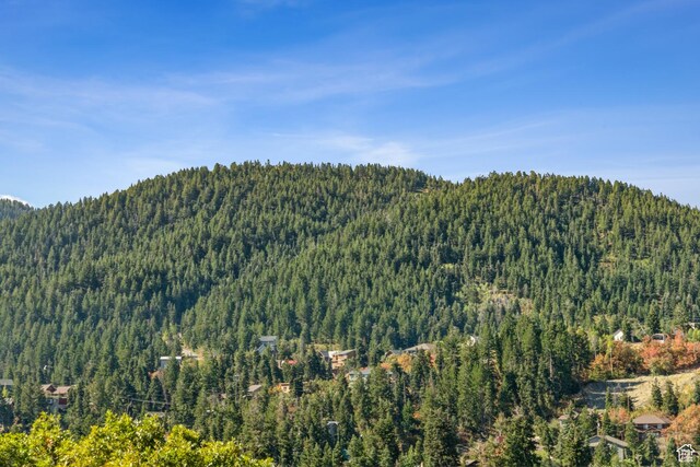 8215 Parleys Ln, Park City, UT 84098