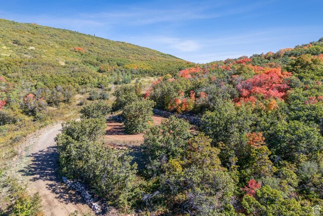 8215 Parleys Ln, Park City, UT 84098