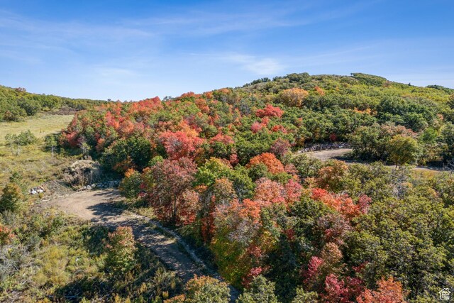 8215 Parleys Ln, Park City, UT 84098