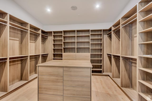 7165 Painted Valley Pass Unit 54, Park City, UT 84098 - walk in closet with light wood-type flooring