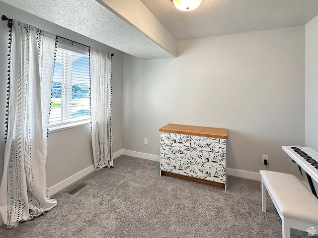 2142 W 3100 S, West Haven, UT 84401 - sitting room featuring carpet floors, baseboards, visible vents, and a textured ceiling
