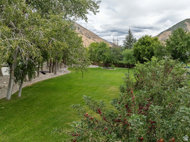 view of yard with a mountain view