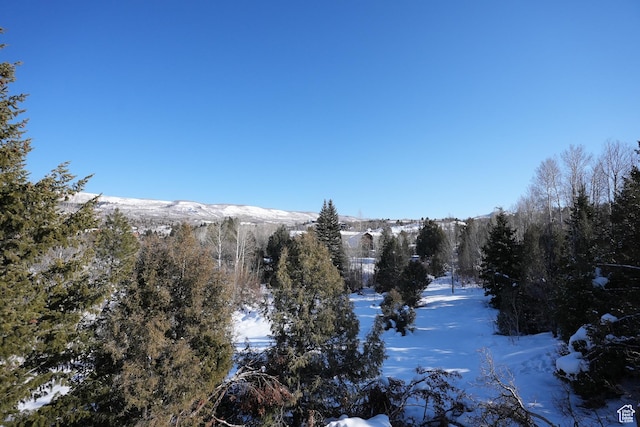 9542 Ridge Pine Rd, Heber City, UT 84032 - exterior space featuring a mountain view