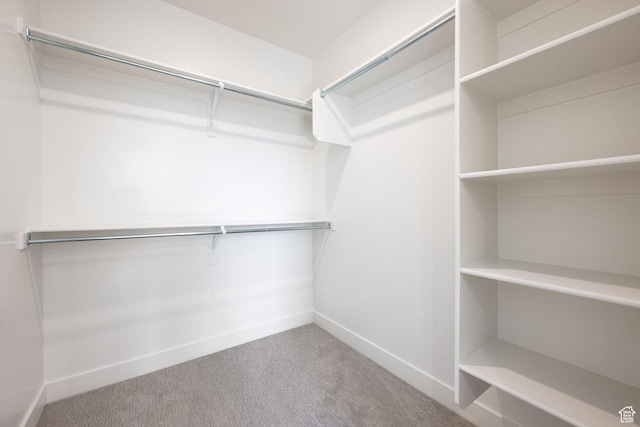spacious closet with carpet flooring