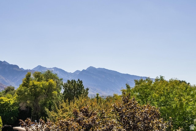 view of mountain feature