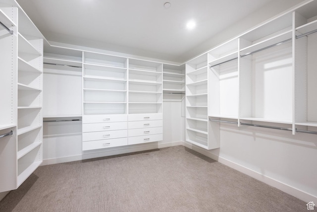 spacious closet featuring carpet