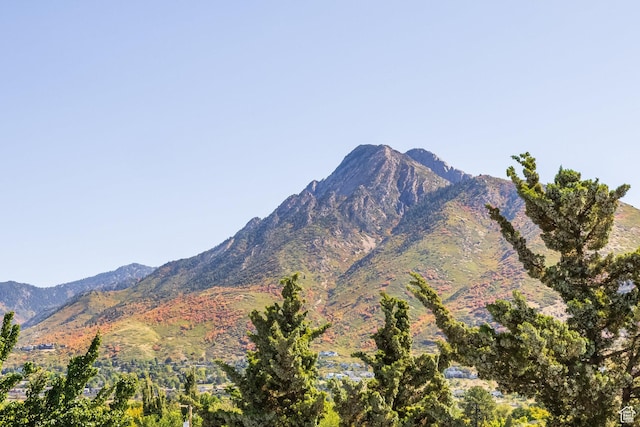 mountain view