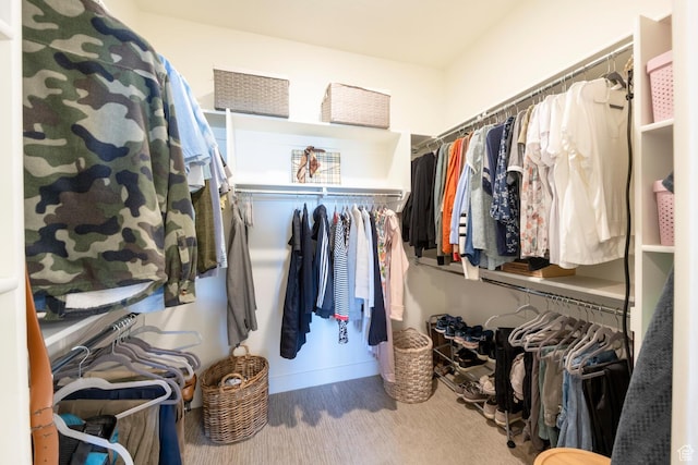spacious closet featuring carpet floors