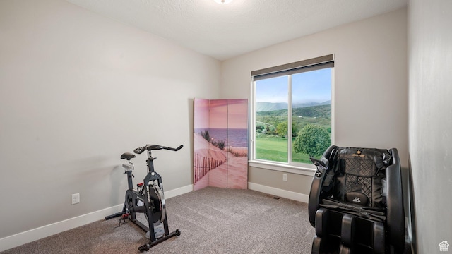 209 N Elk Ridge Dr, Elk Ridge, UT 84651 - workout room with a mountain view, baseboards, and carpet