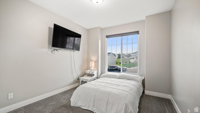 209 N Elk Ridge Dr, Elk Ridge, UT 84651 - carpeted bedroom with baseboards