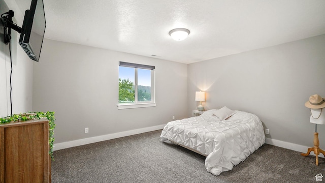 209 N Elk Ridge Dr, Elk Ridge, UT 84651 - carpeted bedroom featuring baseboards