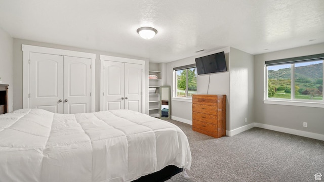 209 N Elk Ridge Dr, Elk Ridge, UT 84651 - carpeted bedroom featuring baseboards, multiple closets, and a textured ceiling