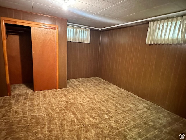 finished basement with carpet floors and wooden walls