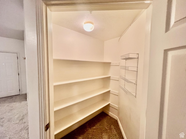 502 S 1040 E Unit 221, American Fork, UT 84003 - walk in closet with carpet