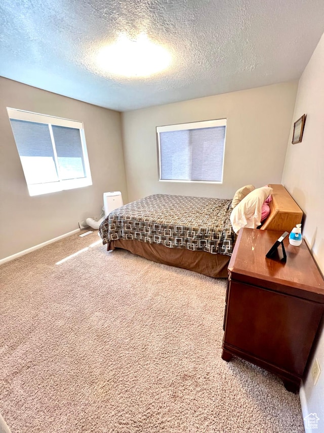 1942 N Sevier Valley Canal Rd, Richfield, UT 84701 - carpeted bedroom featuring a textured ceiling and baseboards