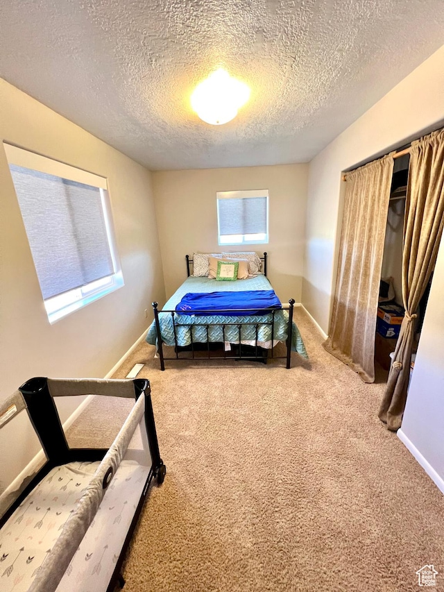 1942 N Sevier Valley Canal Rd, Richfield, UT 84701 - carpeted bedroom featuring a closet, baseboards, and a textured ceiling