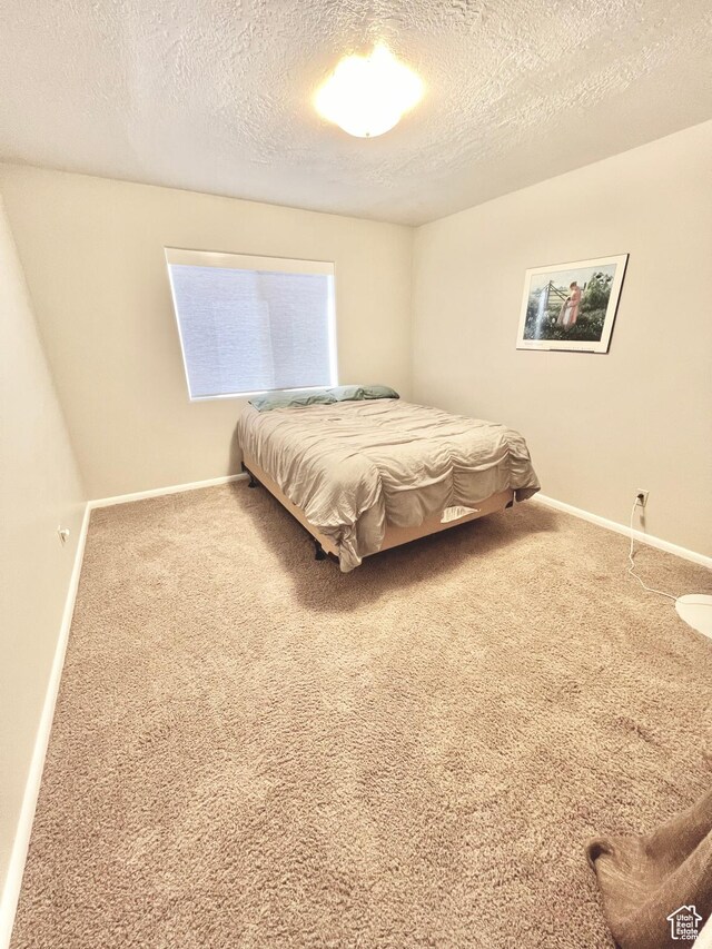 1942 N Sevier Valley Canal Rd, Richfield, UT 84701 - bedroom with carpet flooring, baseboards, and a textured ceiling