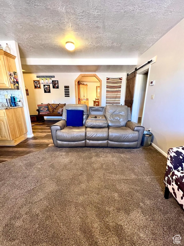 1942 N Sevier Valley Canal Rd, Richfield, UT 84701 - living area featuring baseboards, a textured ceiling, a barn door, dark carpet, and arched walkways