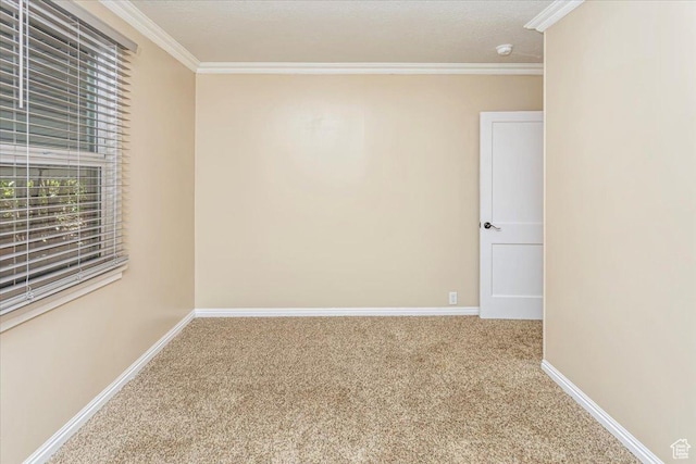 965 E 39th St S, South Ogden, UT 84403 - unfurnished room with carpet flooring, ornamental molding, and baseboards
