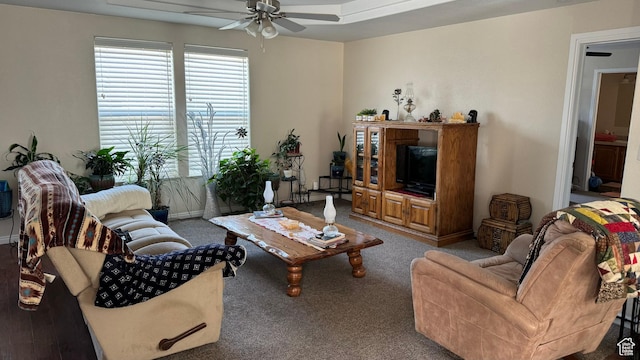 2796 S 2575 W, Roosevelt, UT 84066 - living room with ceiling fan and carpet flooring