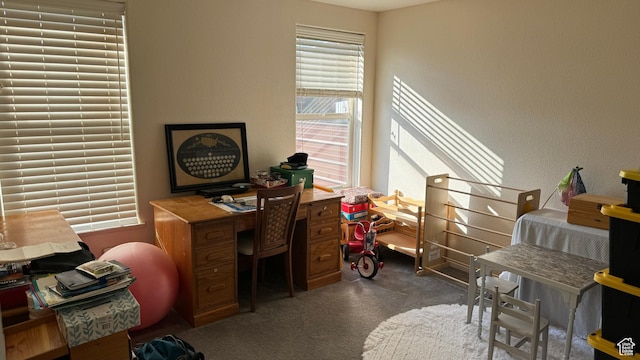 2796 S 2575 W, Roosevelt, UT 84066 - home office with carpet