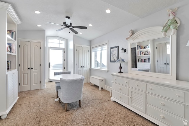 1040 E Canyon Rd, Hyde Park, UT 84318 - interior space with a textured ceiling, vaulted ceiling, ceiling fan, and light colored carpet