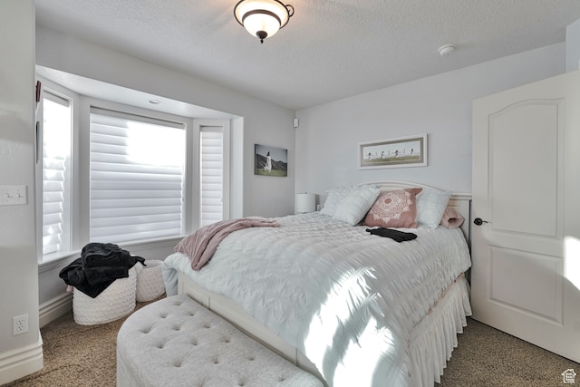 1040 E Canyon Rd, Hyde Park, UT 84318 - carpeted bedroom with a textured ceiling