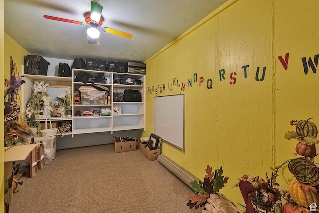 1040 E Canyon Rd, Hyde Park, UT 84318 - interior space featuring ceiling fan, carpet floors, and a textured ceiling