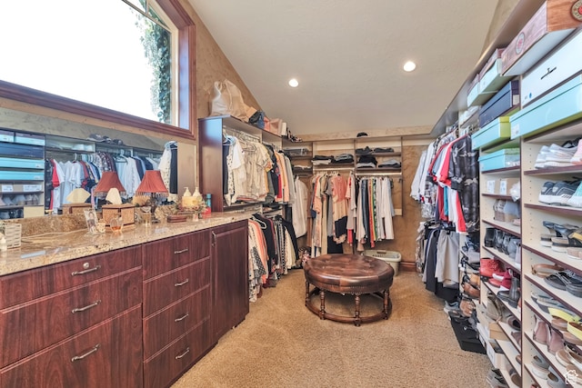 1040 E Canyon Rd, Hyde Park, UT 84318 - spacious closet with light colored carpet
