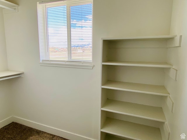 22 E Cedar Ln, Malad City, ID 83252 - spacious closet with carpet floors