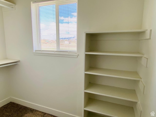 22 E Cedar Ln, Malad City, ID 83252 - view of spacious closet