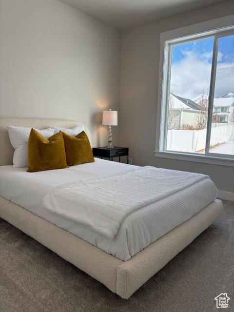 584 N 510 E, Smithfield, UT 84335 - carpeted bedroom featuring baseboards and multiple windows