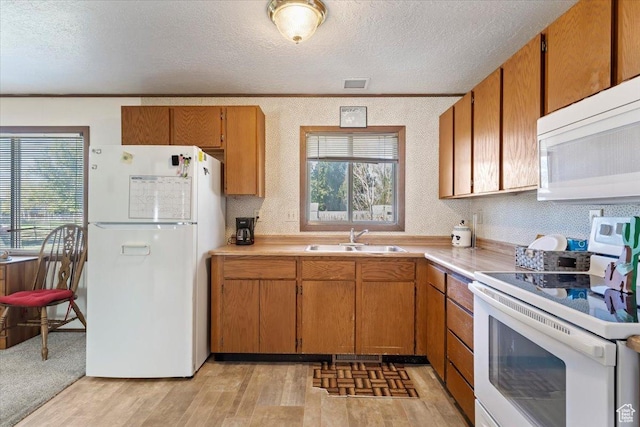 kitchen featuring a sink, a textured ceiling, white appliances, and light countertops