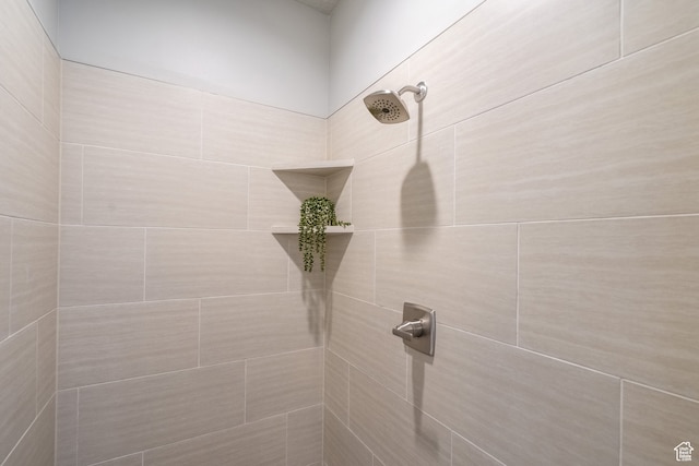 278 N 2020 W, Hurricane, UT 84737 - room details with tiled shower