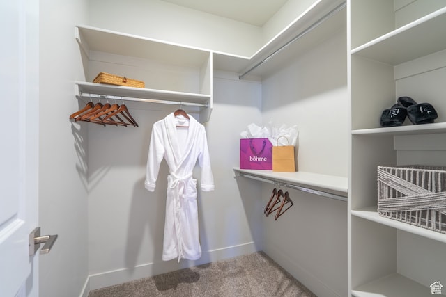278 N 2020 W, Hurricane, UT 84737 - spacious closet with carpet flooring